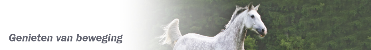 HEADER_NL03