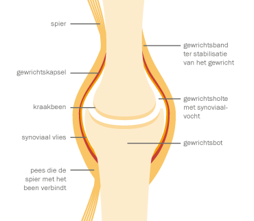articulation-(4).jpg articulation-(4).jpg