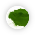 Chlorella-pyrenoidosa.png Chlorella-pyrenoidosa.png