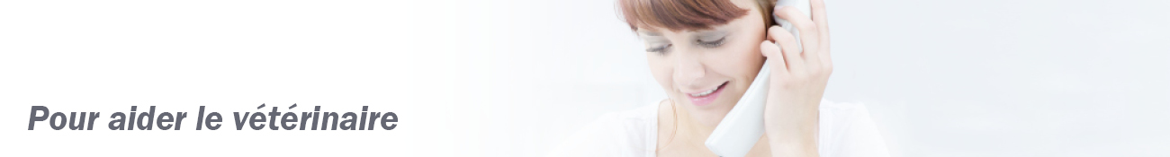 HEADER_FR08