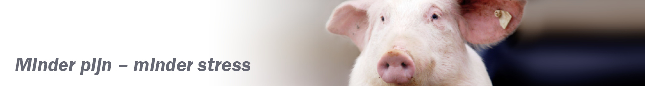 HEADER_NL05