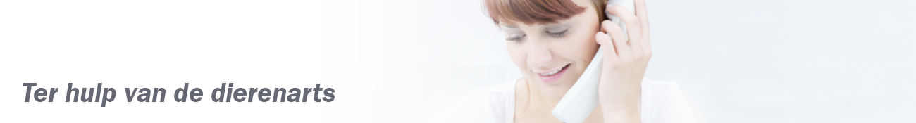 HEADER_NL08