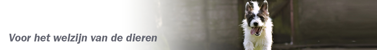 HEADER_NL06