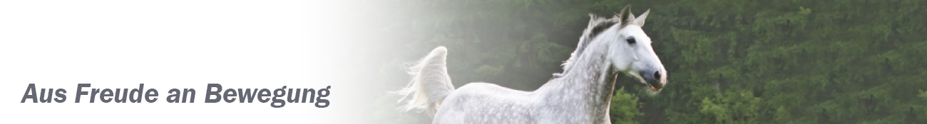 HEADER_DE03