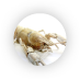 Glucosamine.png Glucosamine.png