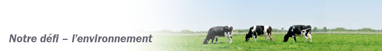 HEADER_FR01
