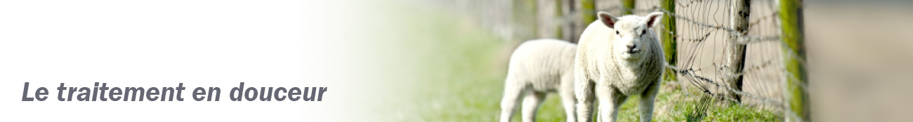 HEADER_FR04