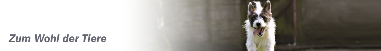 HEADER_DE06