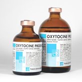 OXYTOCINE PRODIVET