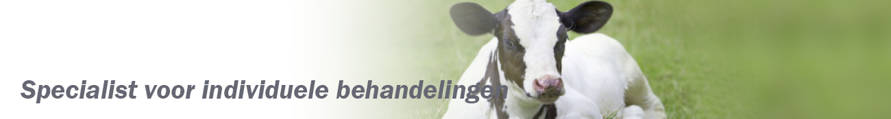 HEADER_NL02