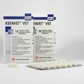 KEFAVET<sup>®</sup> VET 500 mg