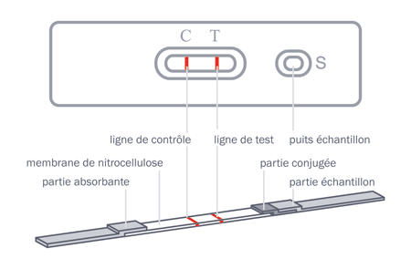 principe_test_it-(1).gif