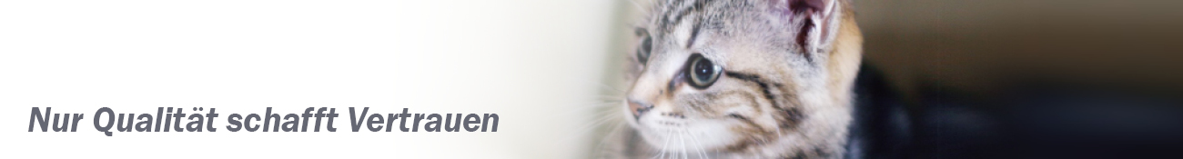 HEADER_DE07