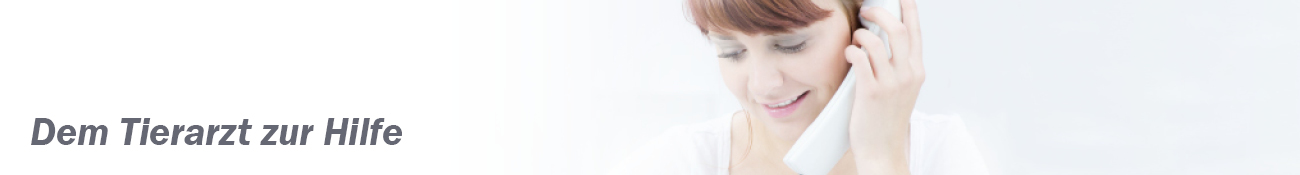 HEADER_DE08