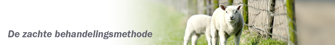 HEADER_NL04