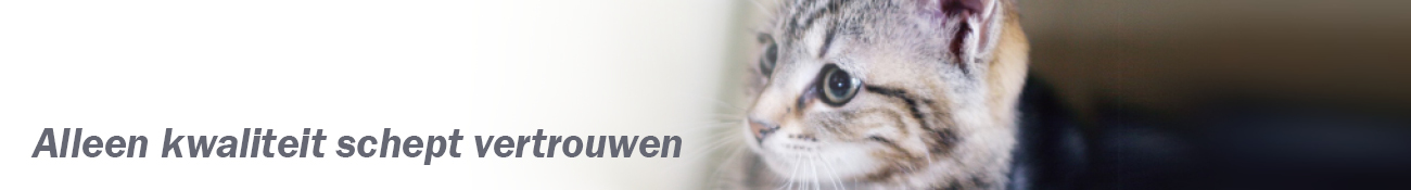 HEADER_NL07